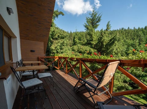 Balcony/Terrace, Mountain view