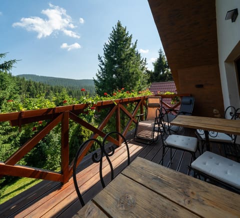 Balcony/Terrace, Mountain view