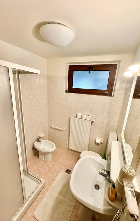 Shower, Toilet, Bathroom, bidet, hair dryier