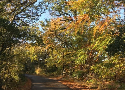 Natural landscape, Hiking