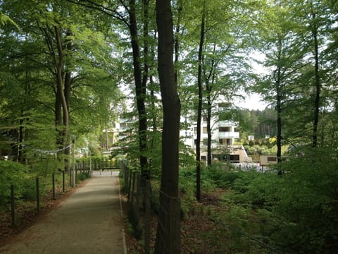 Nearby landmark, Neighbourhood, Natural landscape, Hiking