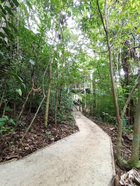 Jungle Living Tree Houses Nature lodge in Monteverde