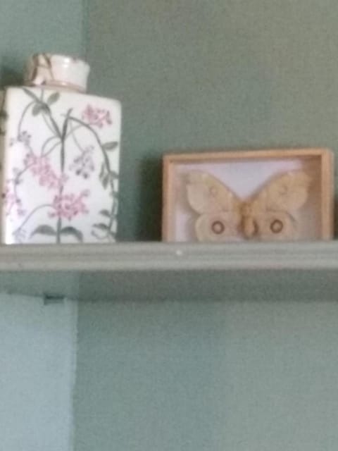 Villa le Lac - Cottage au bord du Lac d' Annecy - chambres - Vacation rental in Haute-Savoie