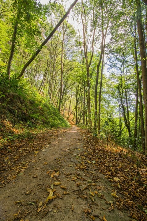 Staff, Hiking, Area and facilities