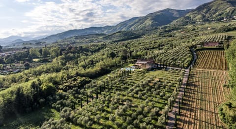 Natural landscape, Bird's eye view