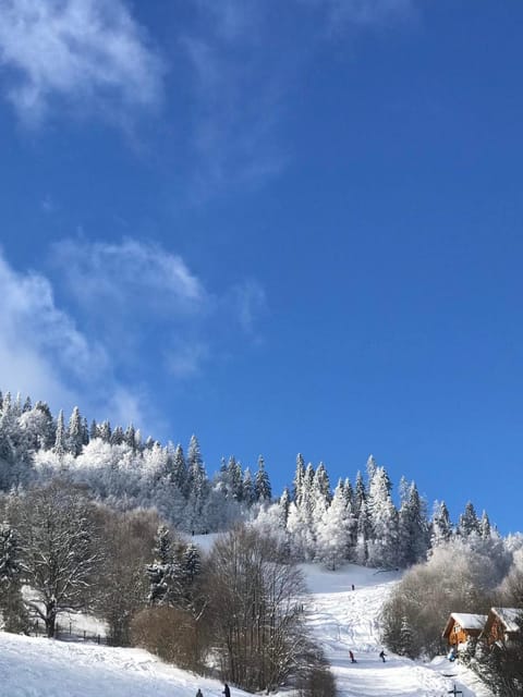 Шале Карпатська Казка Nature lodge in Lviv Oblast