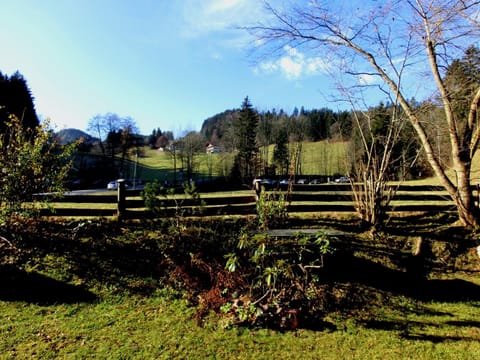 Natural landscape