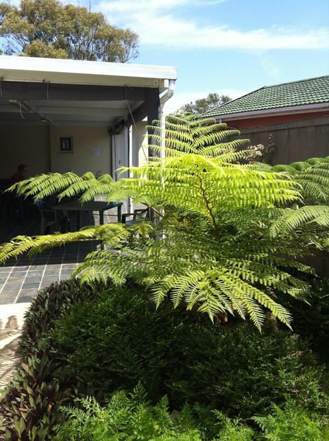 Patio, Day