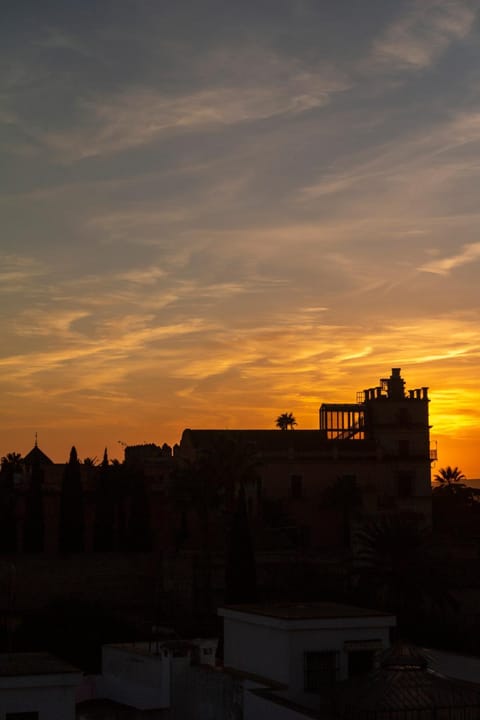 JEREZ CENTRO 5 DORMITORIOS TERRAZAS CON VISTAS ALCAZAR Y PLAZA ARENAL Copropriété in Jerez de la Frontera