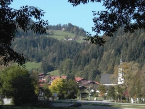 Natural landscape