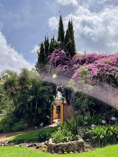 Casa Magdalena Hotel Boutique Hotel in Morelia