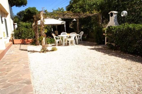 Spring, Garden, Dining area, Garden view