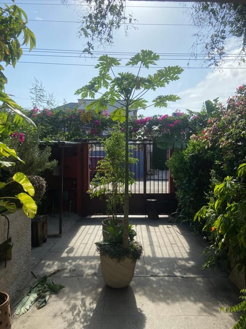 Facade/entrance, Garden, Garden view