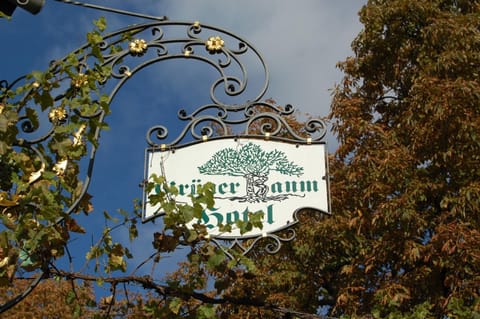 Hotel Grüner Baum Hôtel in Bad Kreuznach