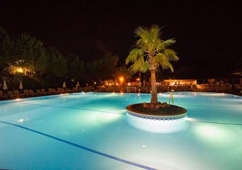 Night, Pool view