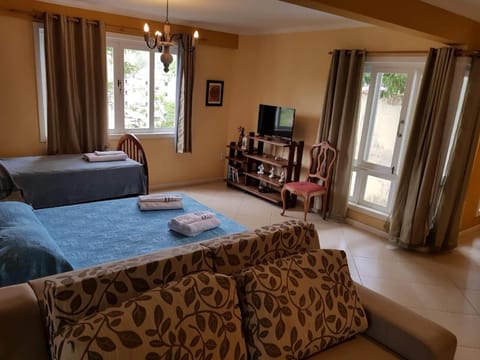 Bed, Living room, Photo of the whole room, Seating area, Bedroom