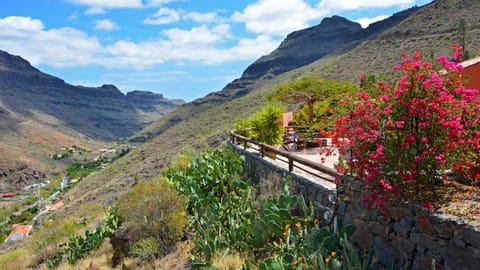 Finca Las Olivas - Unique country house with heated pool House in Comarca Sur