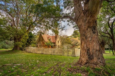 Property building, Natural landscape, Garden, Garden view