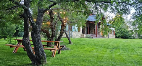 Property building, Garden, Garden view