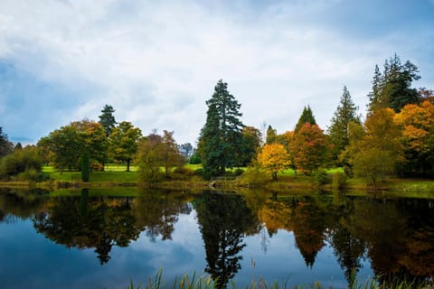 Property building, Natural landscape