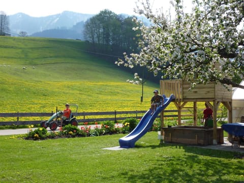 Children play ground