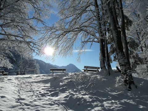 Winter, Hiking