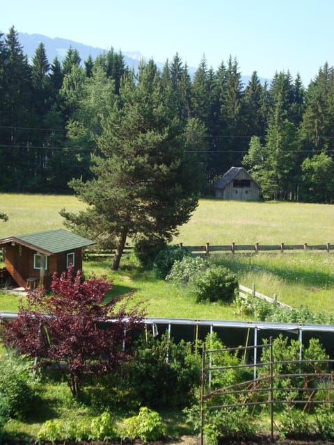 Haus Harmonika Apartment in Schladming