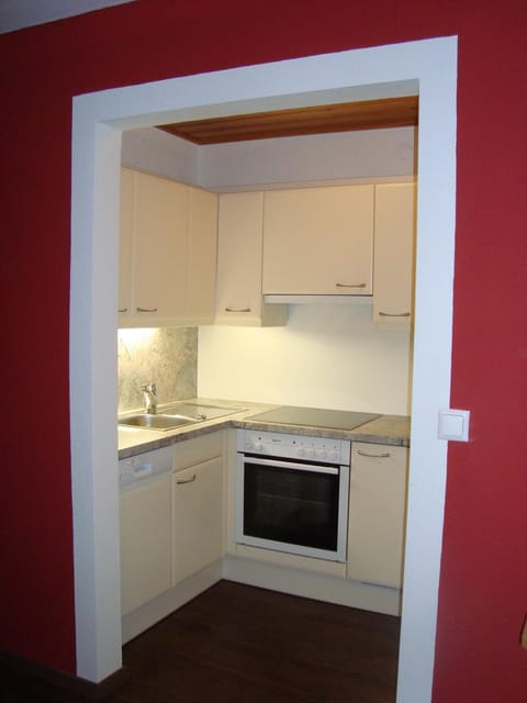 Haus Harmonika Apartment in Schladming