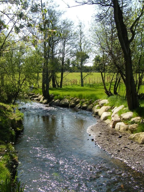 Garden view, River view