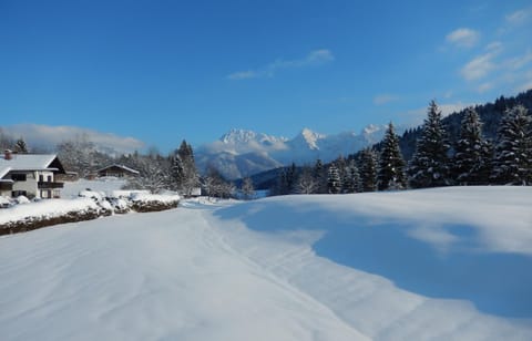 Property building, Natural landscape, Winter