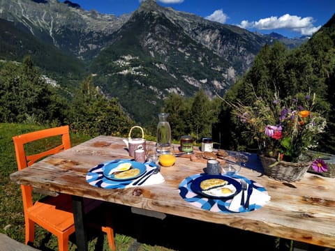 Natural landscape, Garden, Mountain view