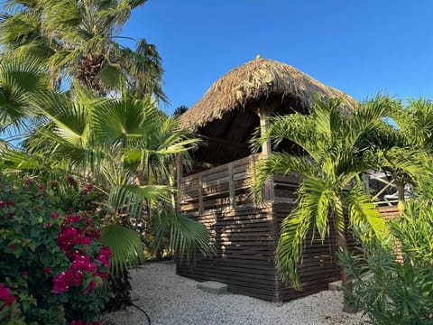 Cozy holiday villa at the Damasco resort near Jan Thiel on Curacao Villa in Jan Thiel