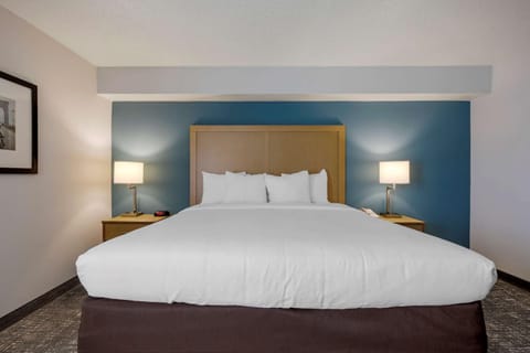 Comfort Inn & Suites Alexandria West Hotel in Alexandria