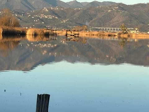Casa Ceragioli House in Torre del Lago