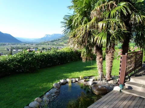 Pension Hauenstein Bed and Breakfast in Algund