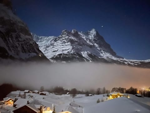 Chalet luzi Apartment in Grindelwald