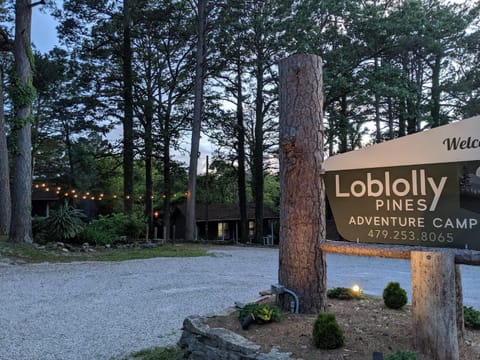 Loblolly Pines Adventure Cabin 2 King House in Eureka Springs