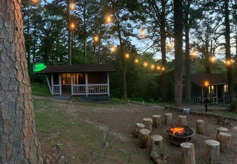 Loblolly Pines Adventure Cabin 2 King House in Eureka Springs