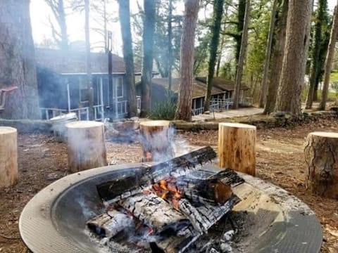 Loblolly Pines Adventure Cabin 3 - King House in Eureka Springs