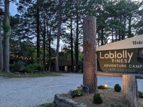 Loblolly Pines Adventure Cabin 3 - King House in Eureka Springs