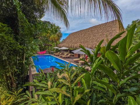 Day, Garden, Garden view, Pool view, Swimming pool, sunbed