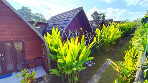 Property building, Spring, Day, Garden, Garden view, Landmark view