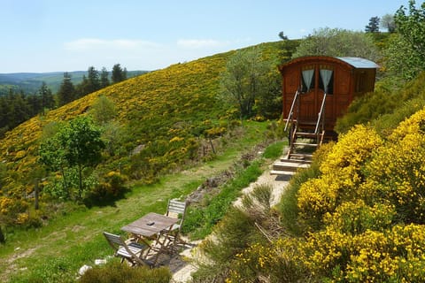 La Bergerie du Plateau Bed and Breakfast in Auvergne-Rhône-Alpes