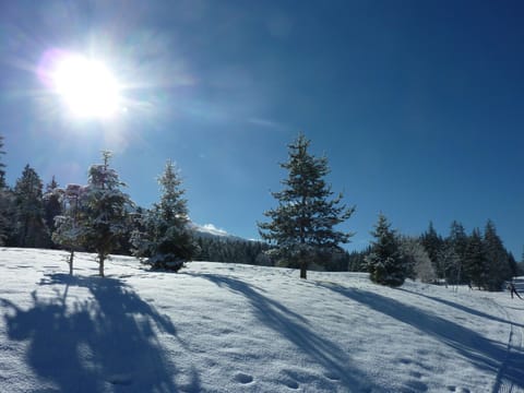 Natural landscape, Winter