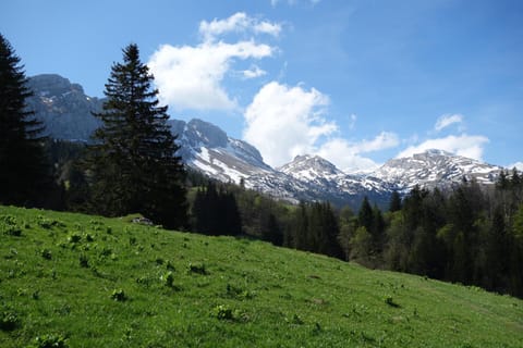 Résidence Croix Margot Apartment in Provence-Alpes-Côte d'Azur