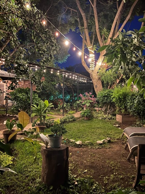 Night, Garden