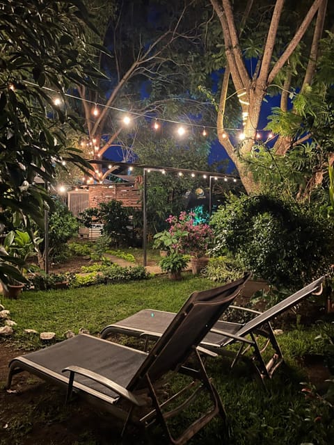 Night, Garden, Garden view