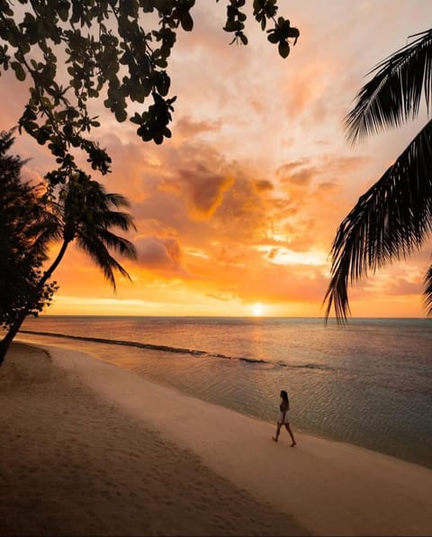 Moorea Island Beach Hotel Hotel in Moorea-Maiao