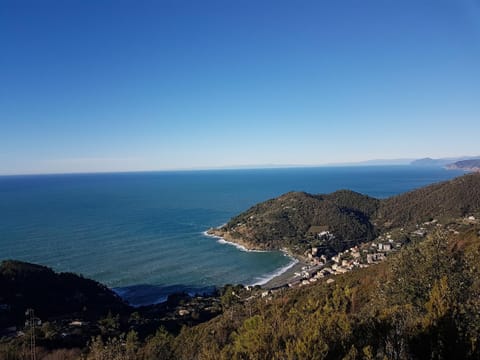 Natural landscape, Hiking, Sea view