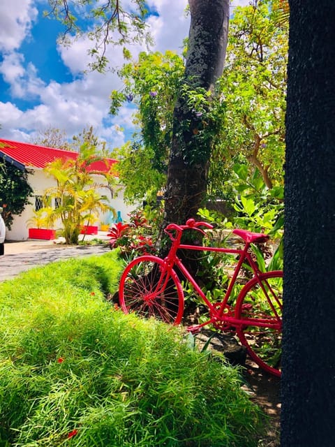 The Good Life Eco Lodges - Healthy Lifestyle and Non Smoking Resort - Adult only Alojamiento y desayuno in Mauritius